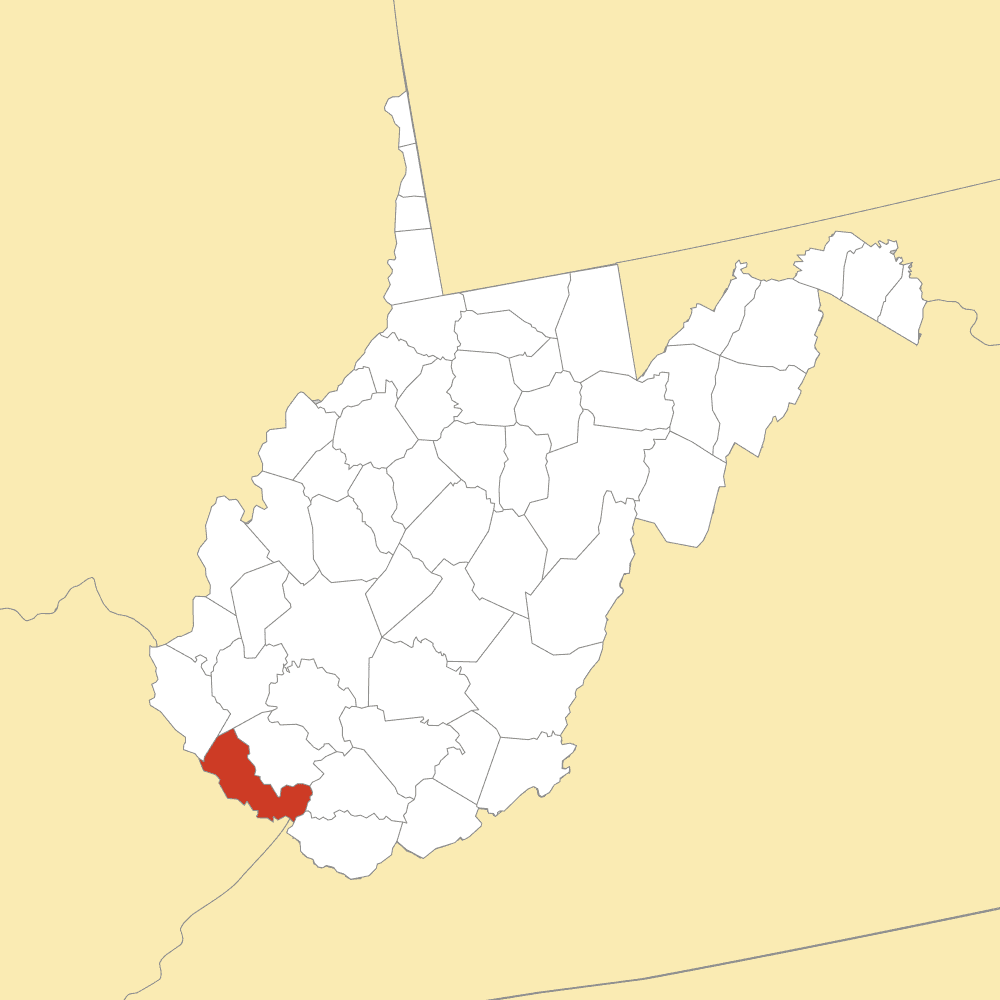 Mingo County map
