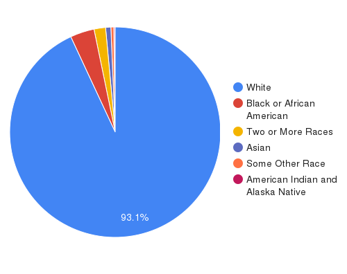 population by race for west virginia